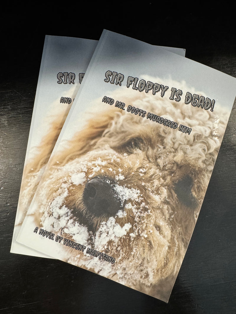 Sir Floppy Is Dead Book