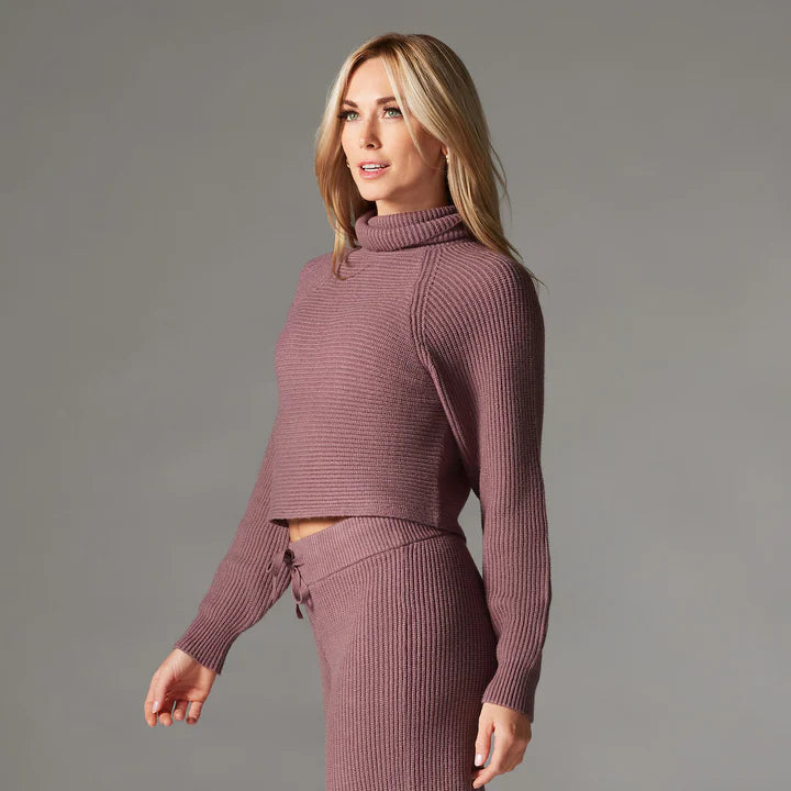 Alpine Knit Turtleneck